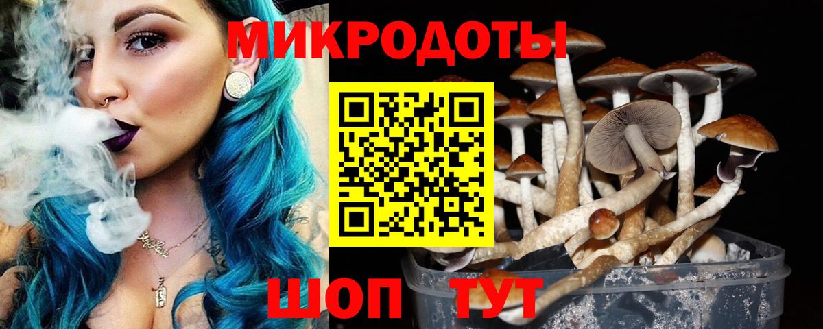 Псилоцибиновые грибы GOLDEN TEACHER Трёхгорный